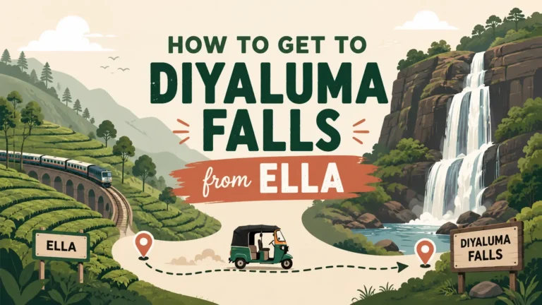Diyaluma Falls from Ella